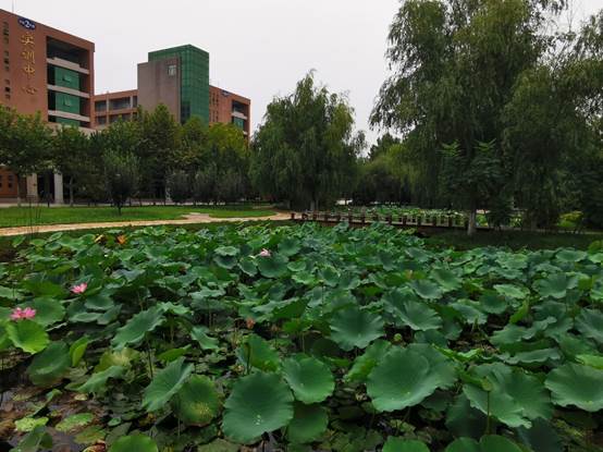 保时捷品质实习生项目培训基地