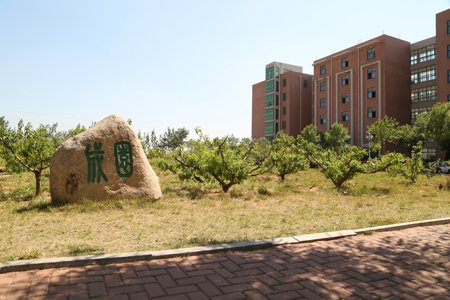 球探足球比分网